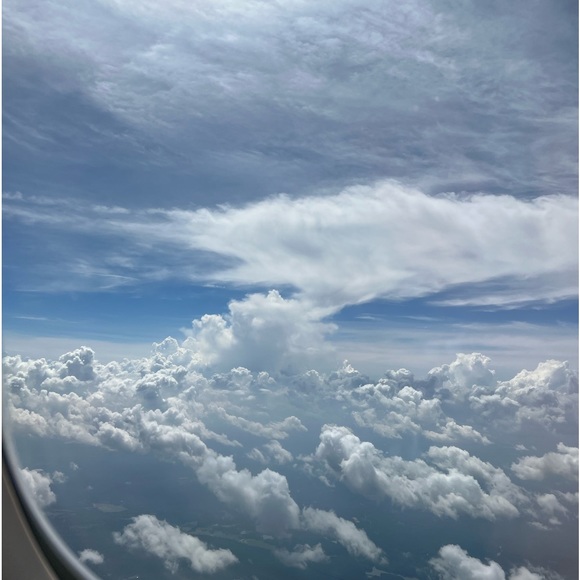 Meet your Posher, Annie - Picture 1 of 1